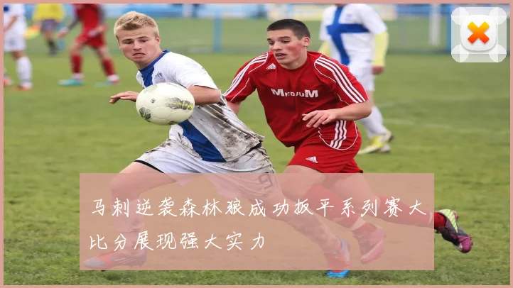 马刺逆袭森林狼成功扳平系列赛大比分展现强大实力