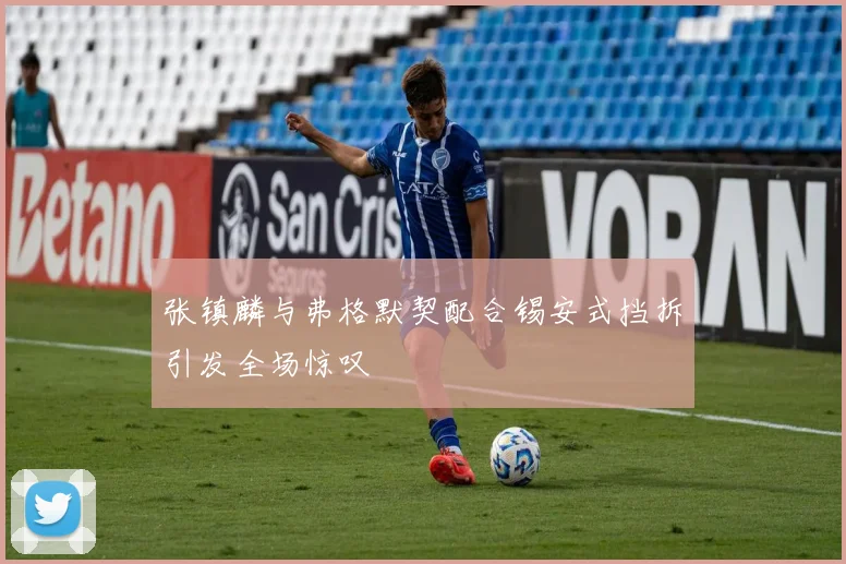 张镇麟与弗格默契配合锡安式挡拆引发全场惊叹