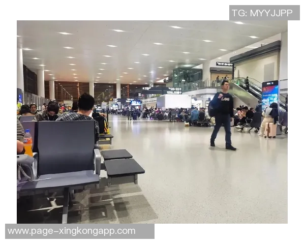 杨瀚森工作室回顾：凌晨1点入睡4点赶机场的忙碌生活